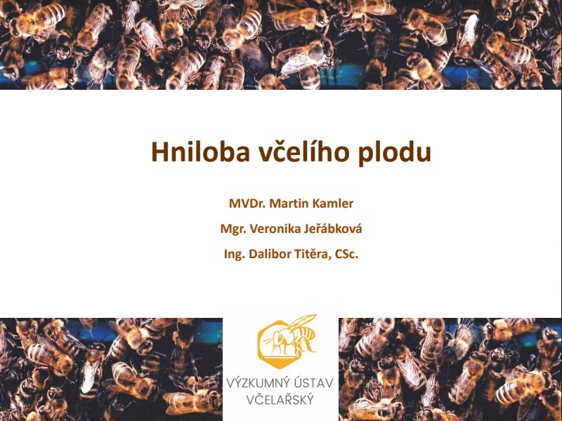 hvp vrchlabi 2020
